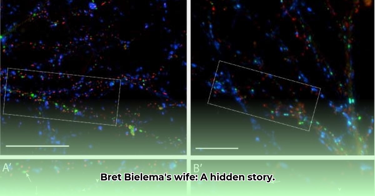 bret-bielema-wife